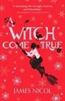 James Nicol - A Witch Come True