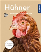 Anja Steinkamp - Hühner