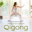 Qi Gong, 1 Audio-CD (Audio book)