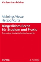 Rainer Herzog, Rainer u a Herzog, Katri Hesse, Katrin Hesse, Thorsten Kurtz, Jo Mehrings... - Bürgerliches Recht für Studium und Praxis