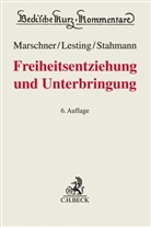 Horst Göppinger, Wolfgan Lesting, Wolfgang Lesting, Rol Marschner, Rolf Marschner, Erwin Saage... - Freiheitsentziehung und Unterbringung, Kommentar