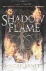 Mindee Arnett, Arnett Mindee - Shadow & Flame