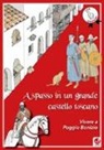 Marco Valenti, D. Ceppatelli - A spasso in un grande castello toscano. Vivere a Poggio Bonizio