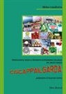 Mirko Cavalletto - Ciscappailgarda. Associazione verso il distretto di economia solidale del Basso Garda