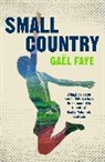 Gael Faye, Gaël Faye - Small Country
