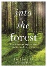 Dr Qing Li, Qing Li - Into the Forest