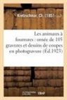 Ch Kretzschmar, Kretzschmar-c - Les animaux a fourrures: ornee