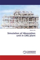 Moamen Aly - Simulation of Absorption unit in LNG plant