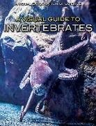 Sol90 Editorial - A Visual Guide to Invertebrates
