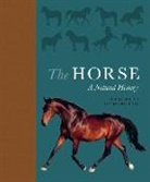 Debbie Busby, Debbie Rutland Busby, Catrin Rutland - Horse