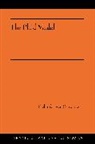 Richard Evan Schwartz - Plaid Model