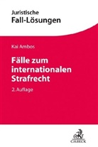 Kai Ambos, Alexande Heinze, Alexander Heinze, Penkuhn, Penkuhn - Fälle zum internationalen Strafrecht