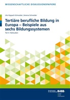 Ut Hippach-Schneider, Ute Hippach-Schneider, Verena Schneider - Tertiäre berufliche Bildung in Europa - Beispiele aus sechs Bildungssystemen. Tl.II