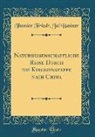 Theodor Friedr. Jul Basiner - Naturwissenschaftliche Reise Durch die Kirgisensteppe nach Chiwa (Classic Reprint)