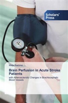 Maija Radzina - Brain Perfusion in Acute Stroke Patients