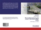 De Berardin, Pierluigi de Berardinis, Mariann Rotilio, Marianna Rotilio, Annalis Taballione, Annalisa Taballione - The multifunctional cycle route in the Aterno River Valley