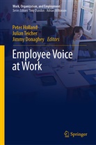 Jimmy Donaghey, Peter Holland, Julia Teicher, Julian Teicher - Employee Voice at Work