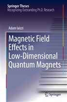 Adam Iaizzi - Magnetic Field Effects in Low-Dimensional Quantum Magnets