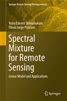 Flávio Jorge Ponzoni, Yosio Edemi Shimabukuro, Yosio Edemir Shimabukuro - Spectral Mixture for Remote Sensing