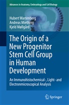 Andrea Miething, Andreas Miething, Kje Møllgård, Kjeld Møllgård, Huber Wartenberg, Hubert Wartenberg - The Origin of a New Progenitor Stem Cell Group in Human Development