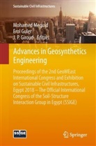J. P. Giroud, Ero Guler, Erol Guler, Mohamed Meguid, J P Giroud - Advances in Geosynthetics Engineering