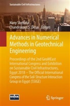 Chandrakant S. Desai, S Desai, S Desai, Han Shehata, Hany Shehata - Advances in Numerical Methods in Geotechnical Engineering
