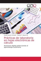 Harol Alvarez Campos, Harold Alvarez Campos, Claudia P Navarro B, Claudia P. Navarro B. - Prácticas de laboratorio en hojas electrónicas de cálculo
