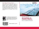 Werner Wilmer Pacheco Lujan - Ensamblaje de Paneles Solares