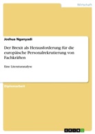 Joshua Nganyadi - Der Brexit als Herausforderung für die europäische Personalrekrutierung von Fachkräften