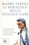 Teresa Di Calcutta (Santa), B. Kolodiejchuk, Brian Kolodiejchuk - Il miracolo delle piccole cose