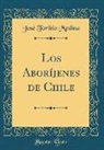 José Toribio Medina - Los Aboríjenes de Chile (Classic Reprint)