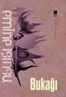 Emine Isinsu - Bukagi