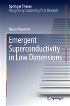 Diane Ansermet - Emergent Superconductivity in Low Dimensions