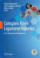 Joã Espregueira-Mendes, João Espregueira-Mendes, Alberto Gobbi, Fabrizio Margheritini - Complex Knee Ligament Injuries