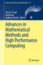 Andreas Fischer, Davi Gao, David Gao, Vinai K. Singh - Advances in Mathematical Methods and High Performance Computing