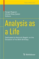 Ahmet Okay Çelebi, Okay Çelebi, Okay Çelebi, Serge Rogosin, Sergei Rogosin - Analysis as a Life