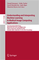 M. Jorge Cardoso, Edouard Duchesnay, Seyed Mostafa Kia, Bennett Landman, Tommy Löfstedt, Lena Maier-Hein... - Understanding and Interpreting Machine Learning in Medical Image Computing Applications