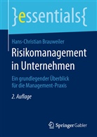 Hans-Christian Brauweiler - Risikomanagement in Unternehmen
