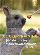 Isabel Müller - Clickertraining für Kaninchen, Meerschweinchen & Co.