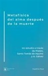 Faustino Ruíz - Metafísica del alma después de la muerte