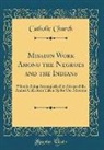 Catholic Church - Mission Work Among the Negroes and the Indians