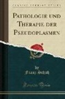 Franz Schuh - Pathologie und Therapie der Pseudoplasmen (Classic Reprint)