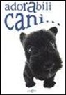 Adorabili cani
