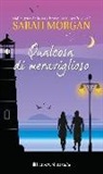 Sarah Morgan - Qualcosa di meraviglioso. Puffin Island