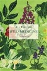 Ali English - Wild Medicine, Summer