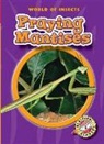 Colleen Sexton - Praying Mantises