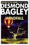 Desmond Bagley - Windfall