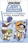 Amy Ignatow, Jarrett J. Krosoczka, Jarrett J./ Ignatow Krosoczka, Jarrett J. Krosoczka - Star Wars - Jedi Academy