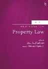 Sinead Agnew, Ben Mcfarlane, Ben Agnew Mcfarlane, Professor Ben Agnew Mcfarlane, McFarlane Ben, Dr Sinead Agnew... - Modern Studies in Property Law, Volume 10
