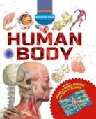 Anna Claybourne, Clare Hibbert - Discovery Pack: Human Body